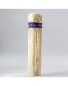 Cheeky Bee - Beeswax Candle - Dripped 2.5" x 11" - Ivory