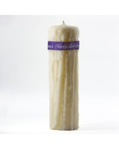 Cheeky Bee - Beeswax Candle - Dripped 3.5" x 10.5" - Ivory