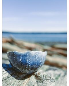 Medium Urchin Bowl - Blue