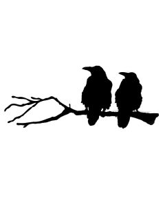 Anvil Island - Ravens on Branch