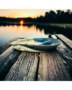 Mussel Shell Medium