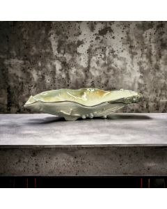 Oyster Shell Medium