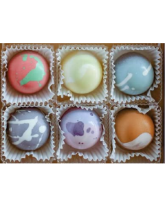 Sea Salt Chocolate - 6pc Assorted Chocolate Bonbons
