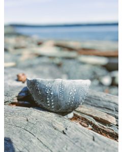 Medium Urchin Bowl - Slate