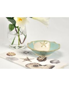 seashell dinnerware